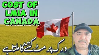 Cost of LMIA or Work Permit in Canada🇨🇦💵lmia workpermitvisa [upl. by Nosemaj]