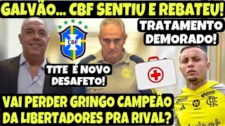 VERGONHA CBF REBATE TITE DIRIGENTE RESPONDE FLA PERDE GRINGO PRO GALO CEBOLINHA  DE 1 MÊS FORA [upl. by Baggs922]