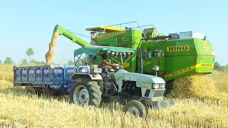 Hind 999 Harver cutting wheat crop  Eicher 485 Tractor  Massey Ferguson 241 Tractor [upl. by Beckett]