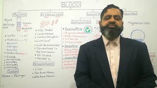 Composition of Blood English medium profmasoodfuzail  Erythrocytes  Leucocytes Thrombocytes [upl. by Dierolf]