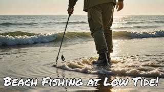 Fishing Low Tide at Tura Beach Ohhhh What a Morning [upl. by Crystie]