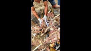 How Pueblastyle GOAT Barbacoa gets cooked underground [upl. by Rodl667]