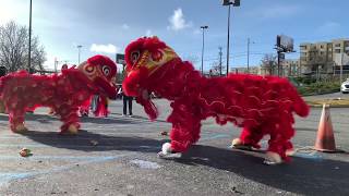 Lion Dance  HK Dim Sum CNY 2020 [upl. by Aleece114]