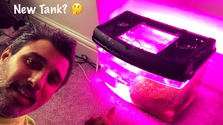 Tank Update 28  Treating Bryopsis Using Flux RX 😌 [upl. by Hattie387]