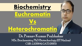 Euchromatin and Heterochromatin [upl. by Adihaj233]