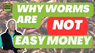 2 Hidden Obstacles to Profit in Worm Farming [upl. by Ellehcir212]