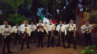 Mariachi En Guadalajara  Las Mañanitas [upl. by Okoyk]