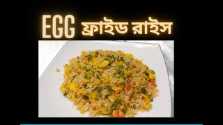 EGG FRIED RICE  BANGLA TUTORIAL [upl. by Coster]