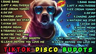 new TIKTOK BUDOTS DISCO PARTY 2024  DJ RONRON REMIX [upl. by Telfer]