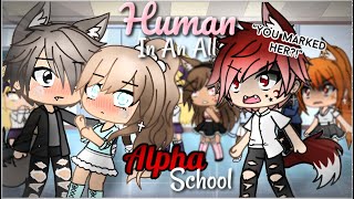 A Human In An All Alpha School  Gacha Life  GLMM  Part 2 [upl. by Konopka]