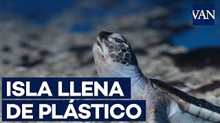 El Océano Pacífico sufre por la contaminación de plástico [upl. by Yojenitsirk]