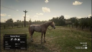 Tennessee Walker Red Roan Coat  Red Dead Redemption 2 Horses [upl. by Aivital]