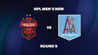 NPL Men’s NSW Round 9 Wollongong Wolves FC v APIA Leichhardt FC [upl. by Petit793]