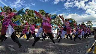 21 佛教大学よさこいサークル紫踊屋 龍馬よさこい2024［４Ｋ］岡崎公園 wide [upl. by Nair]