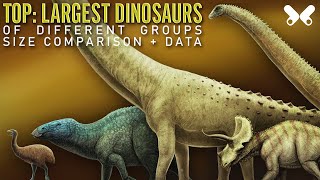 TOP Largest Dinosaurs Size Comparison and Data [upl. by Nilats]