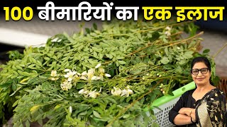 पेड़ नहीं औषधि है  बाल झड़नाबीपीशुगरमोटापा  सबका 1 ही रामबाण इलाज  3 New Winter Recipe [upl. by Attegroeg]