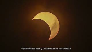 Recomendaciones de seguridad eclipse solar del 8 de abril de 2024 [upl. by Naujek]