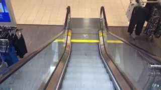 STORE CLOSED Schindler Escalators At Former Sears Woodfield Mall In Schaumburg IL [upl. by Marlane]