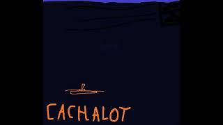 NotViziYT  Cachalot [upl. by Bathsheba64]