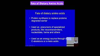 Fate of Dietary Amino Acids Metabolism Made Easy [upl. by Danni]