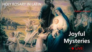 694 Rosary in Latin Joyful Mysteries [upl. by Drareg602]