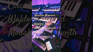 Novation Mininova  Circuit Tracks  Waldorf Blofeld  Modal Argon8 with Valhalla Supermassive [upl. by Eirb]