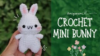 Crochet Mini Bunny  Cute Amigurumi  Easy Pattern [upl. by Milah]