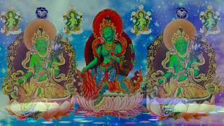 Green Tara Mantra  Om Tare Tuttare Ture Soha  Dolma Tara Mantra From Nepal [upl. by Ffilc971]