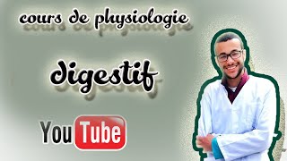 physiologie digestive  2  la motricité [upl. by Ettevroc]