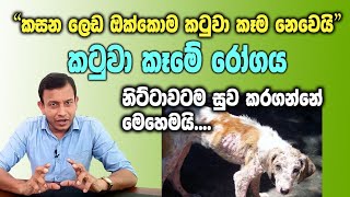 බල්ලන්ගේ සමේ රෝග කටුවා කෑම Mange dranuradissanayake [upl. by Gingras]