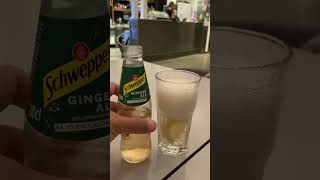 Refreshing Schweppes Ginger Ale Review with a Zesty Twist [upl. by Yllet]