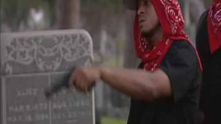 Bloods amp Crips  Shooting [upl. by Beaudoin259]