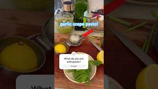 Garlic Scape Pesto garlicscapes nutallergy garden [upl. by Steep83]