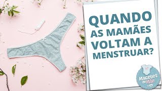 MENSTRUAÇÃO PÓS PARTO EM QUANTO TEMPO ELA VOLTA  MACETES DE MÃE [upl. by Ariuqahs749]