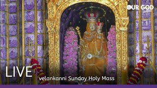 velankanni live mass today  velankanni live [upl. by Anert]