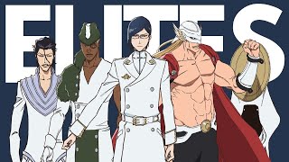 Who are Yhwachs ELITE STERNRITTER The STRONGEST Enemies That Even BANKAI Cant Kill  Bleach TYBW [upl. by Odnalref57]