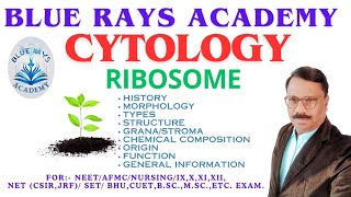 CYTOLOGY  RIBOSOME HISTORY  MORPHOLOGY  TYPES  STRUCTURE  CHEMISTRY  ORIGIN  FUNCTION [upl. by Odrude767]