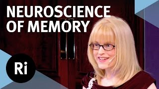 The Neuroscience of Memory  Eleanor Maguire [upl. by Hernardo67]