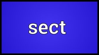 Sect Meaning [upl. by Anaerb]