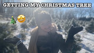 GETTING MY CHRISTMAS TREE  VLOGMAS DAY 7  Pressley Hosbach [upl. by Essex]