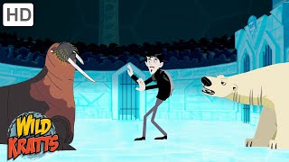 Winter Adventures Part 6  Happy Holidays  Wild Kratts [upl. by Leirua]