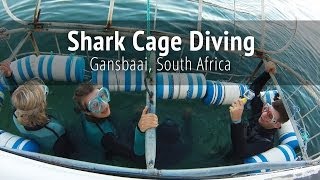 Shark Cage Diving  Gansbaai South Africa [upl. by Nenad]