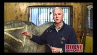 Equine Intramuscular Injections [upl. by Lavern]