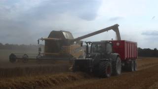 Moisson blé 2013New Fendt 722Caisson Dalby vdge trémie [upl. by Delp]