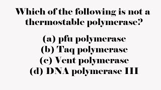 Which of the following is not a thermostable polymerase [upl. by Howard]