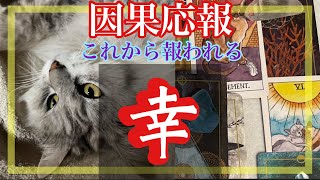 因果応報これから報われるあなたの『幸』タロット占い [upl. by Walston965]