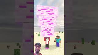 Holding Bigger and Bigger Bedrock  Baby zombie minecraft animations [upl. by Ecirual463]