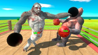 Boxing Tournament with HP Bar  Animal Revolt Battle Simulator [upl. by Petronia]