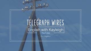 Telegraph Wires  Ted Hughes  Poetry Analysis  GCSE Literature  English with Kayleigh [upl. by Enirual]