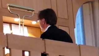 ODENSE DOMKIRKE ORGAN CONCERT [upl. by Yaffit]